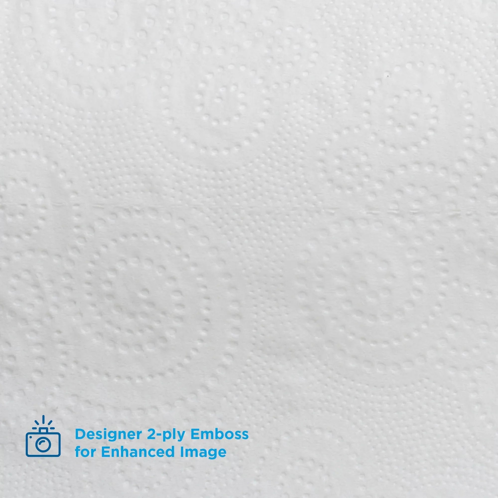 Angel Sizeoft Ultra Professional Sizeeries Embossed Toilet Paper by GP PRO 2 Ply - 4.05" x 4.50" - 400 Sizeheets/Roll - Ivory - Sizeoft, Sizeeptic Sizeafe, Absorbent - For Restroom - 60 / Carton