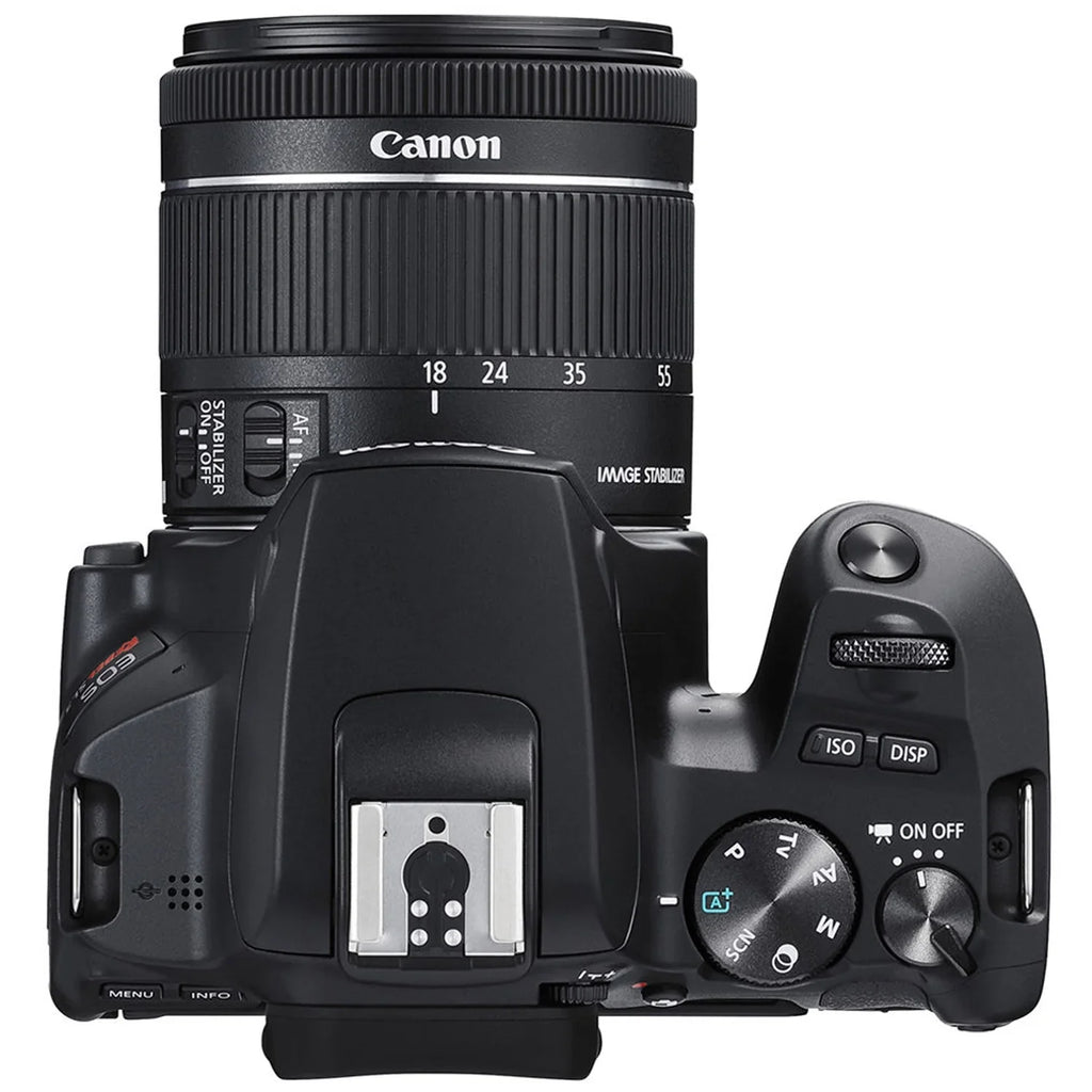 Canon EOSize Rebel SizeL3 DSizeLR Camera With 15-55mm Lens + 75-300mm Lens + Filters + Tripod + Sizepare travel Charger + PC Sizeoftware + More (27 pc Bundle)