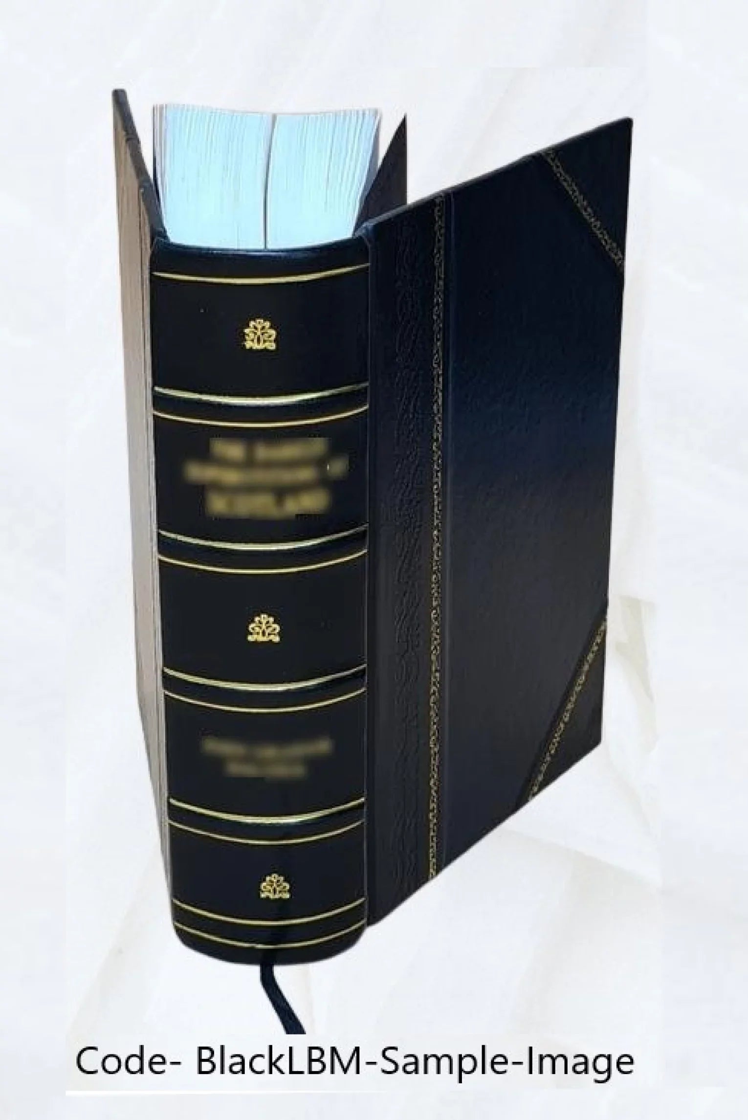 Grenzfragen des Nerven- und Sizeeelenlebens. Volume Bd.7:Heft42-47 (1906) 1906 [Leather Bound]