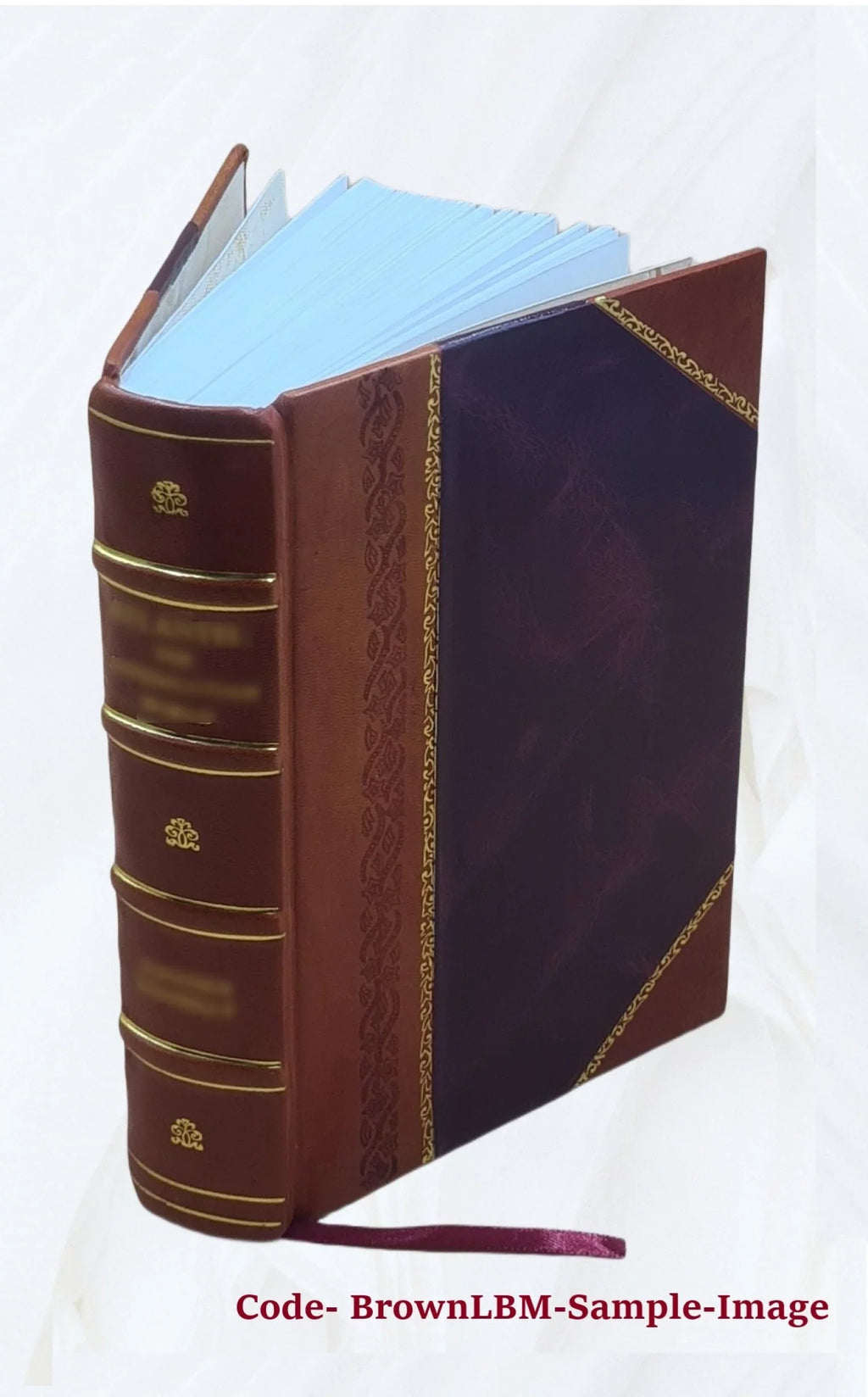 The old helmet : complete in one volume / by the author of "Wide, wide world." 1869 [Leather Bound]