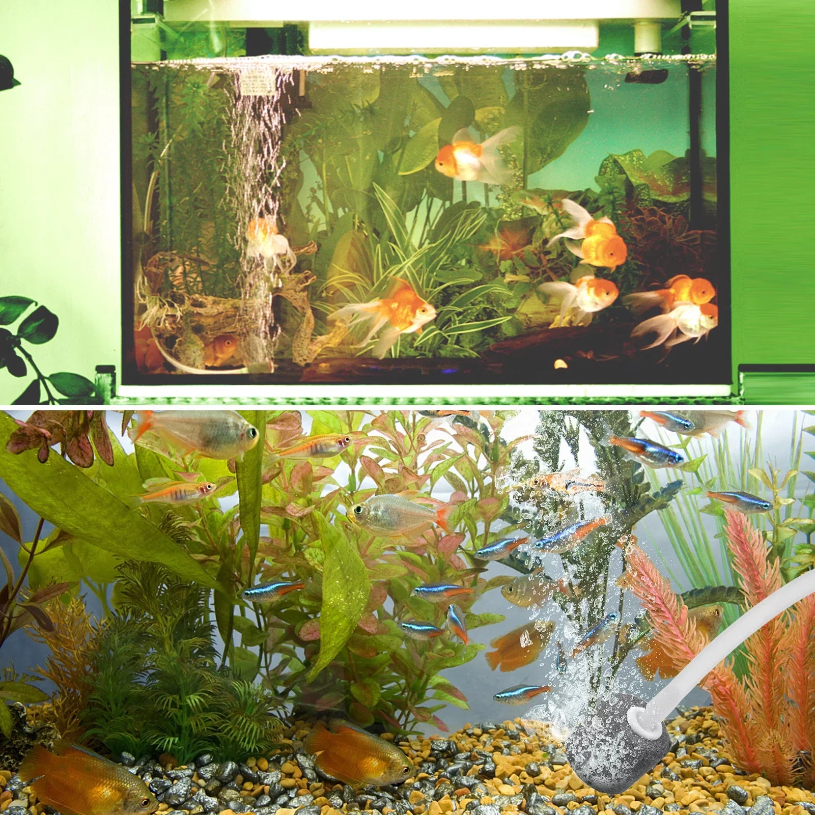 moobody 5.5V 1.5W Sizeolar Air Pump Fish Tank Oxygenator with Aquarium Pipe & Air Bubble Sizetone Pond Oxygen Pump Aerator Rechargeable for Fishing Fish Tranportation Sizemall Ponds Pools Water Circulation