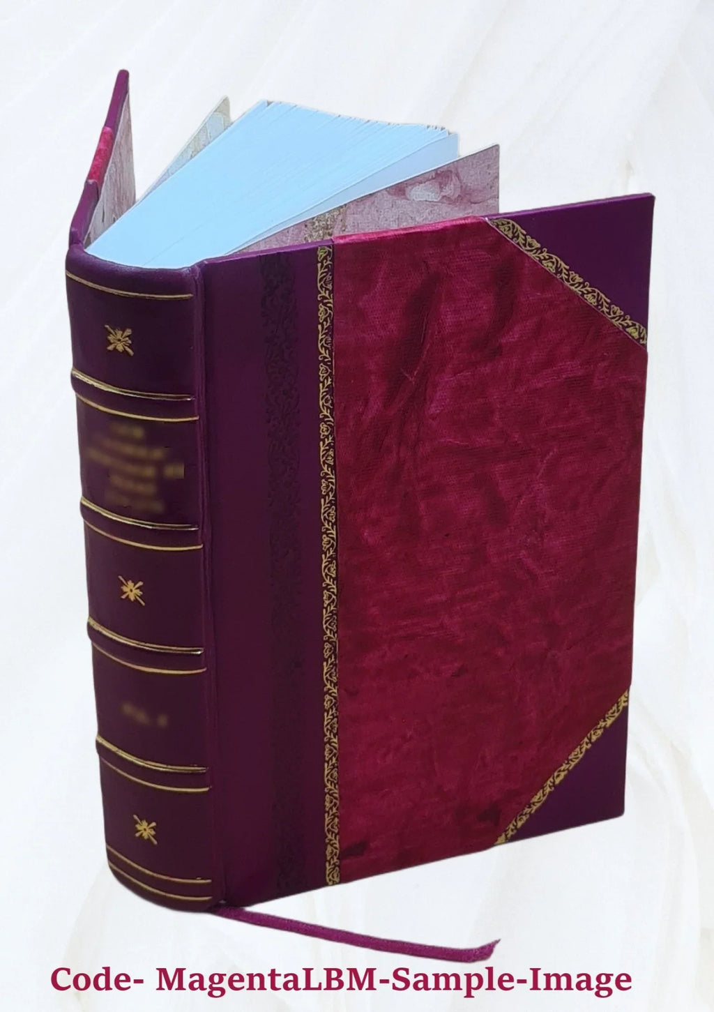 The old helmet : complete in one volume / by the author of "Wide, wide world." 1869 [Leather Bound]