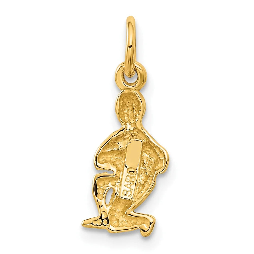 FJC Finejewelers 10 kt Yellow Gold Aquarius Zodiac Charm 20 x 8 mm