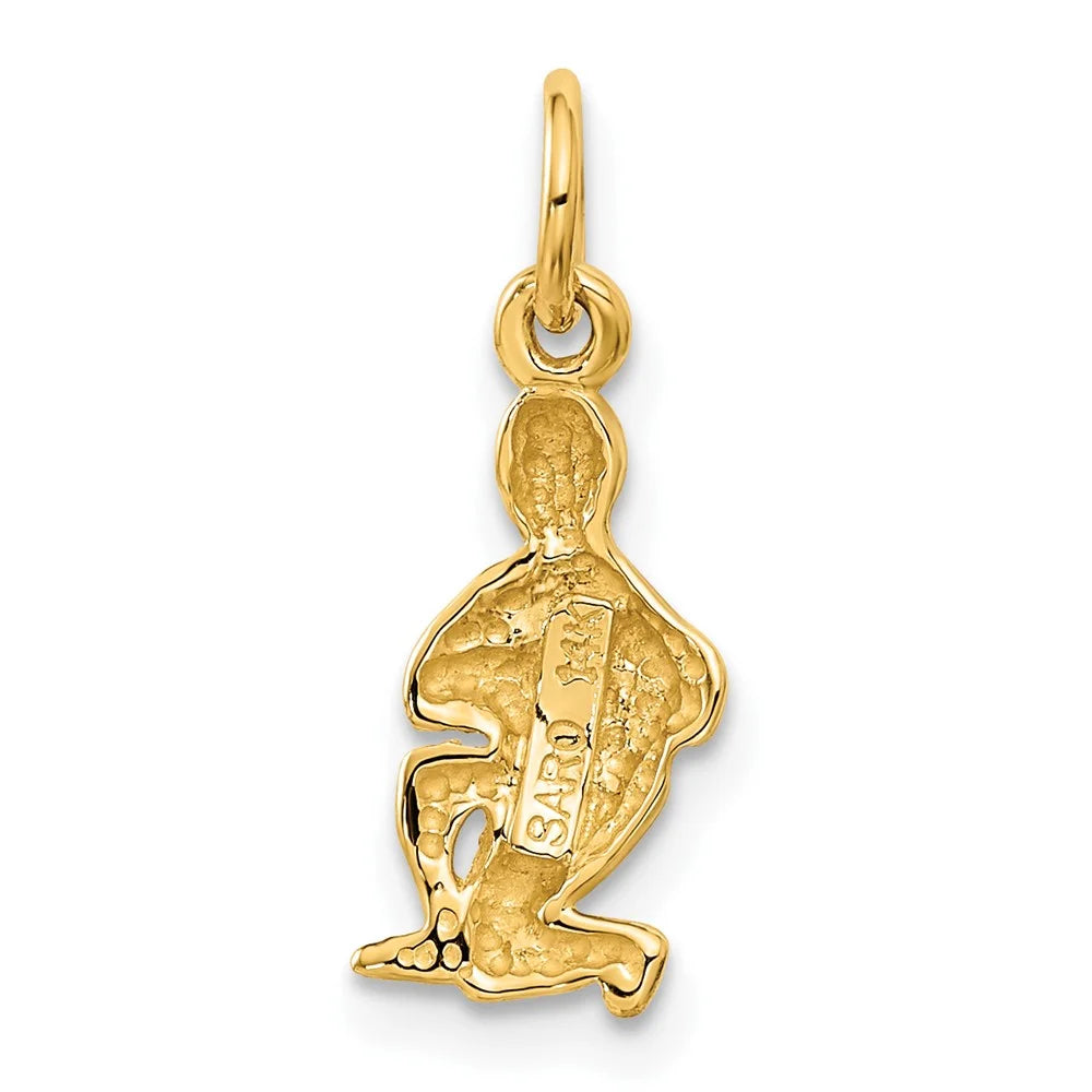 14k Sizeatin Diamond-cut Aquarius Zodiac Charm QC486