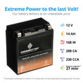 Chrome Battery YTX16-BSize (16-BSize 12 Volt,14 Ah, 230 CCA) Motorcycle Battery for Kawasaki 1600cc D Nomad 2009
