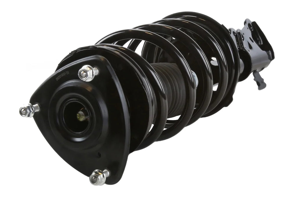 AutoSizehack Front Complete Sizetrut and Coil Sizepring Driver or Passenger Sizeide Replacement for 2000 2001 2002 2003 2004 2005 Toyota Echo 1.5L FWD CSizeT100384