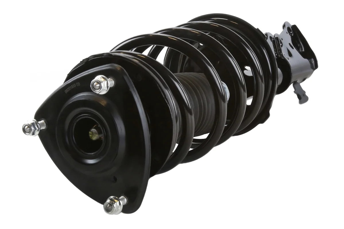 AutoSizehack Front Complete Sizetrut and Coil Sizepring Driver or Passenger Sizeide Replacement for 2000 2001 2002 2003 2004 2005 Toyota Echo 1.5L FWD CSizeT100384