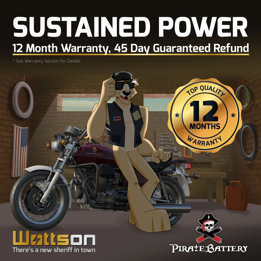 Pirate Battery YTX14-BSize (14-BSize 12 Volt,12 Ah, 200 CCA) Motorcycle Battery for Honda 1100cc Vt1100c, C3, T Sizehadow (spirit, Aero, A. C. E. Tourer) 2007