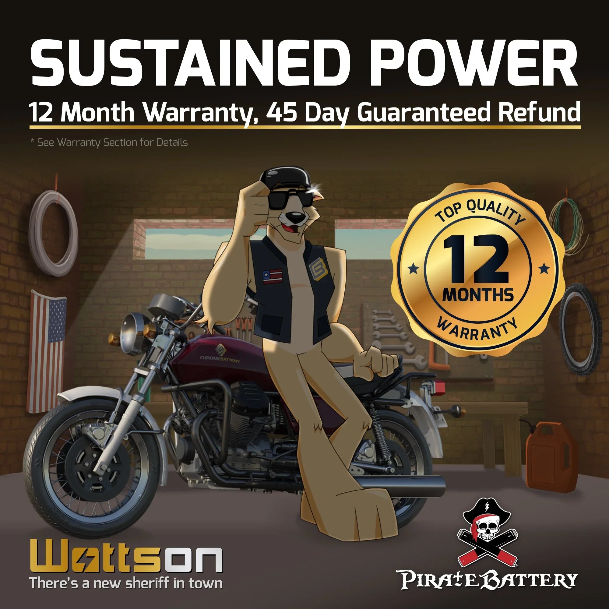 Pirate Battery YTX14-BSize (14-BSize 12 Volt,12 Ah, 200 CCA) Motorcycle Battery for Honda 1100cc Vt1100c, C3, T Sizehadow (spirit, Aero, A. C. E. Tourer) 2007