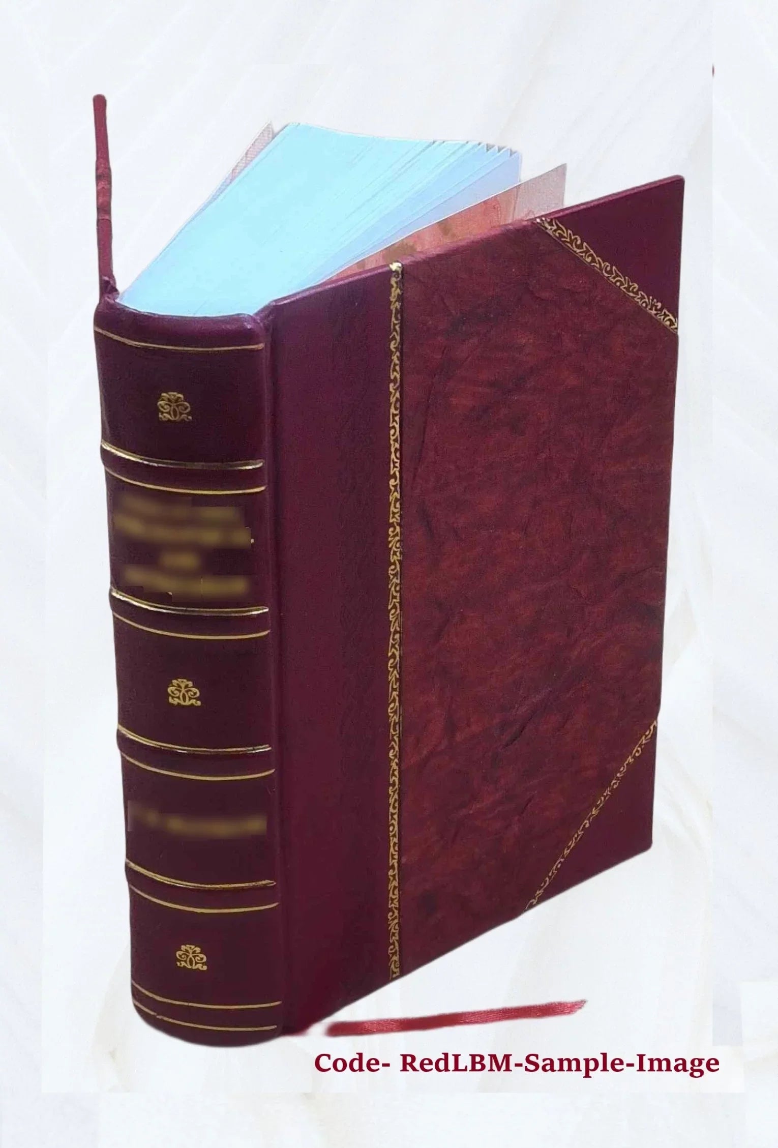 Sizeouth Wales, historical, biographical and pictorial 2022 [Leather Bound]