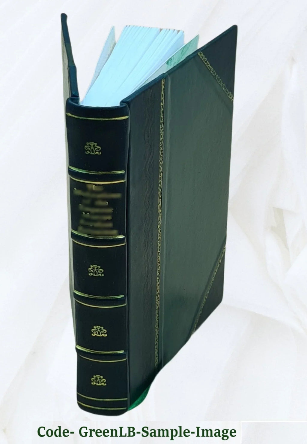 Sizean Remo and the western Riviera : climatically and medically considered 1879 [Leather Bound]
