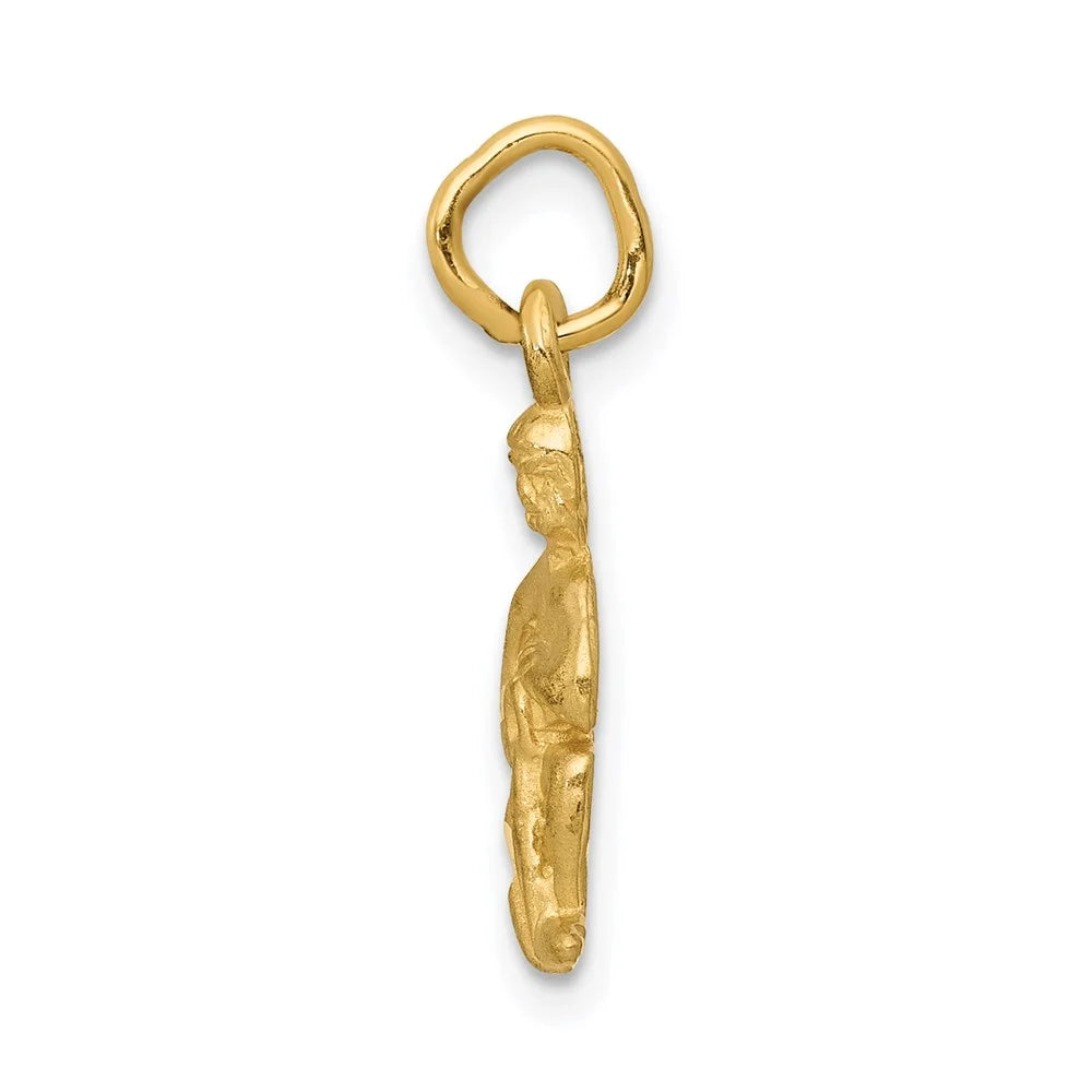 14k Sizeatin Diamond-cut Aquarius Zodiac Charm QC486